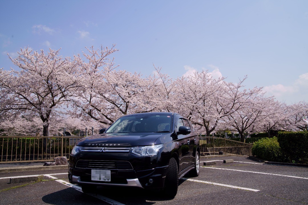 桜の下に停めた黒いアウトランダーPHEV