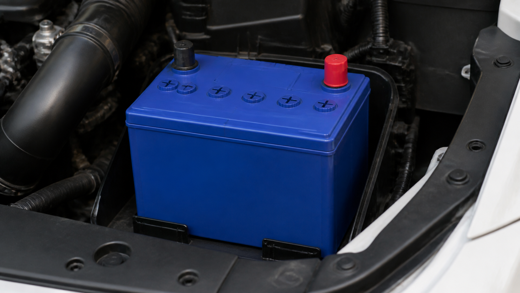 カオス n m65 a3 a4 違い カオスN-M65のA4とA3の違いを徹底比較