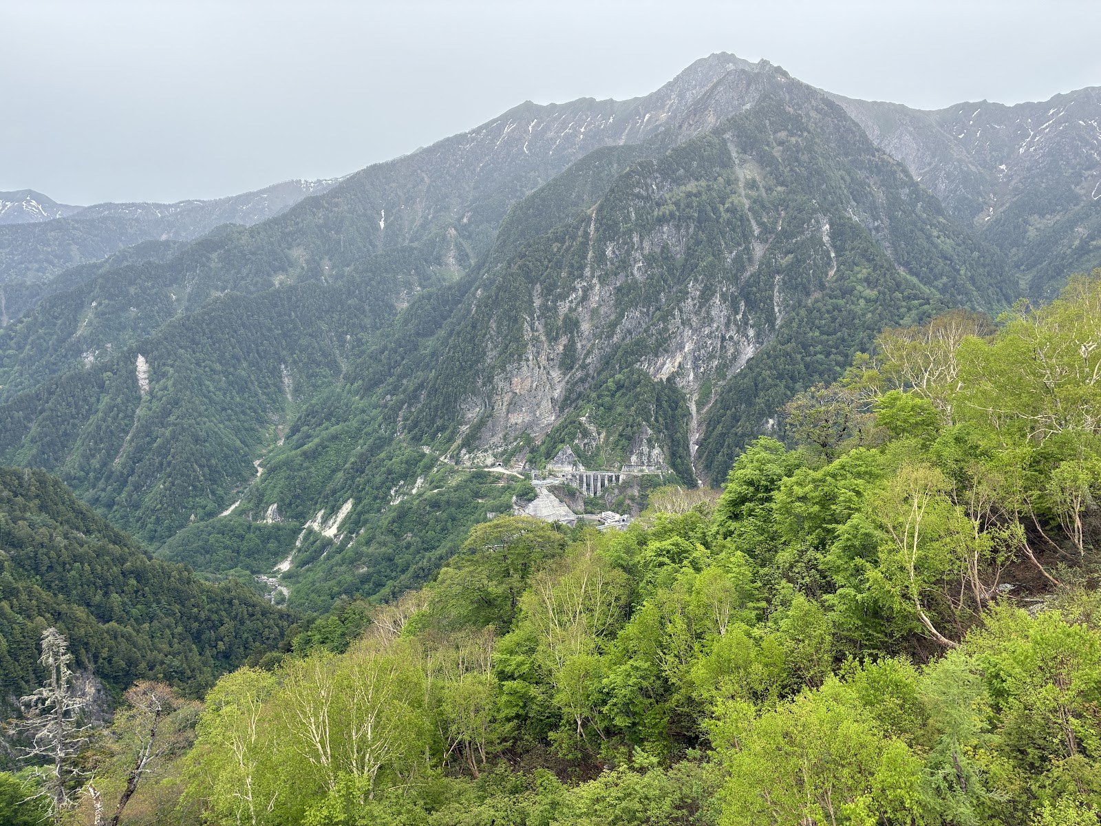立山ロープウェイから見下ろした黒部の谷